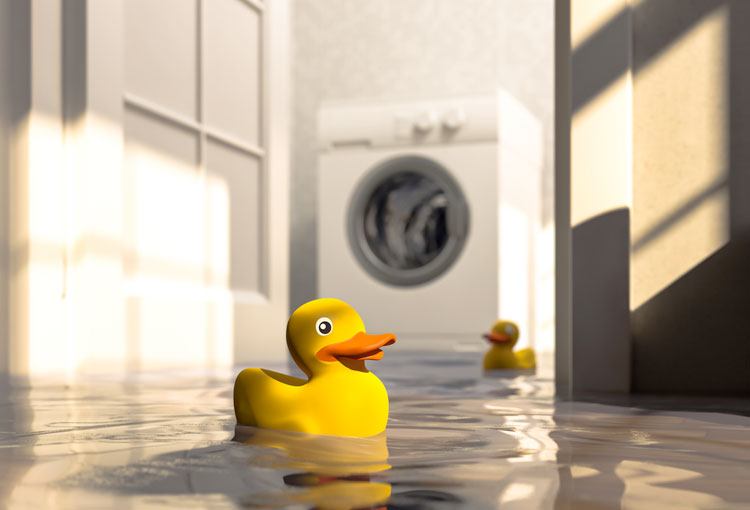 Flooding or Water Damage​